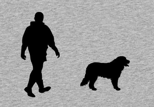 Walking With Bernese Mountain Dog Mens T-Shirt, Made From Organic Cotton