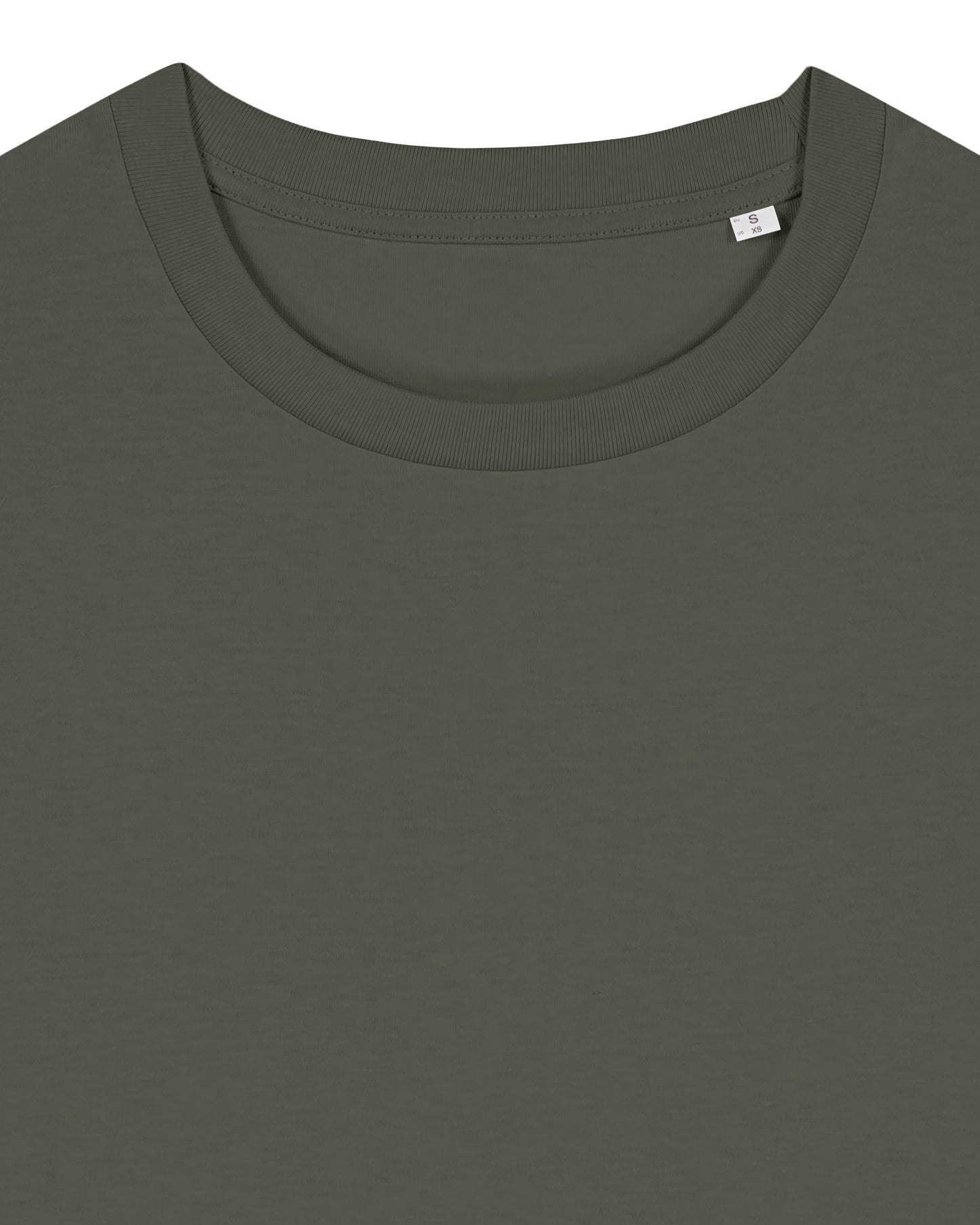 Walking With Border Terrier Dog Womens T-Shirt, Made From Organic Cotton