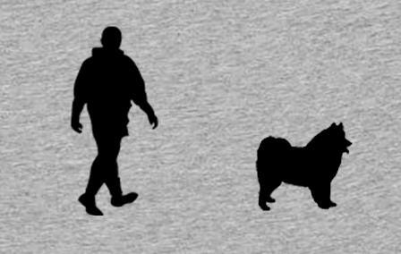 Walking With Samoyed Dog Mens T-Shirt, Made From Organic Cotton