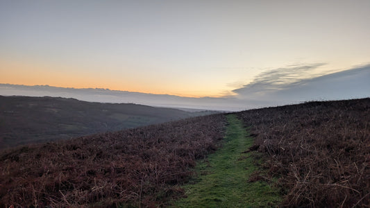 Craig-yr-allt trail overlooking Taffs Well